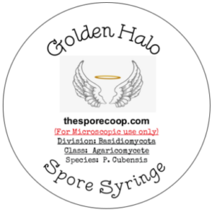 Golden Halo – Spore Syringe