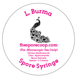 L. Burma – Spore Syringe