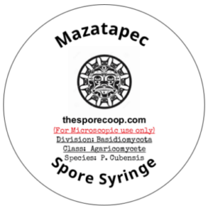 Mazatapec – Spore Syringe