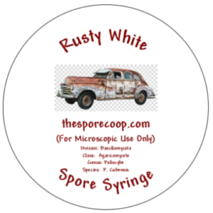 Rusty White – Spore Syringe